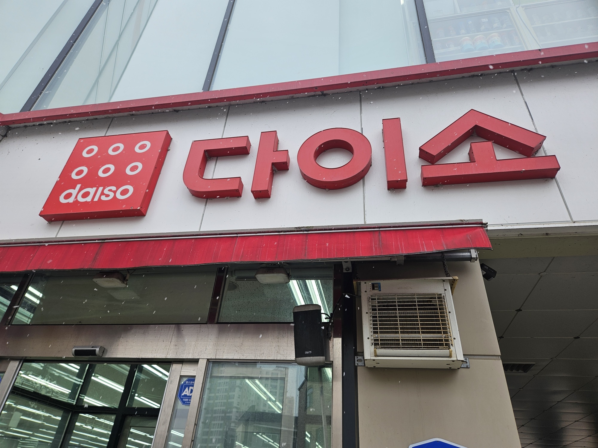 다이소 영양제 찾는 법