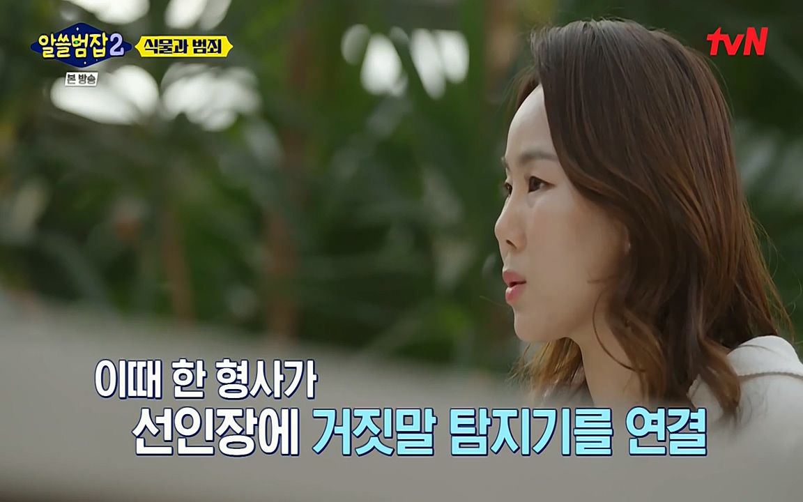 알쓸범잡 2.E15.220425p-NEXT.mp4_20220425_174834.001.jpg