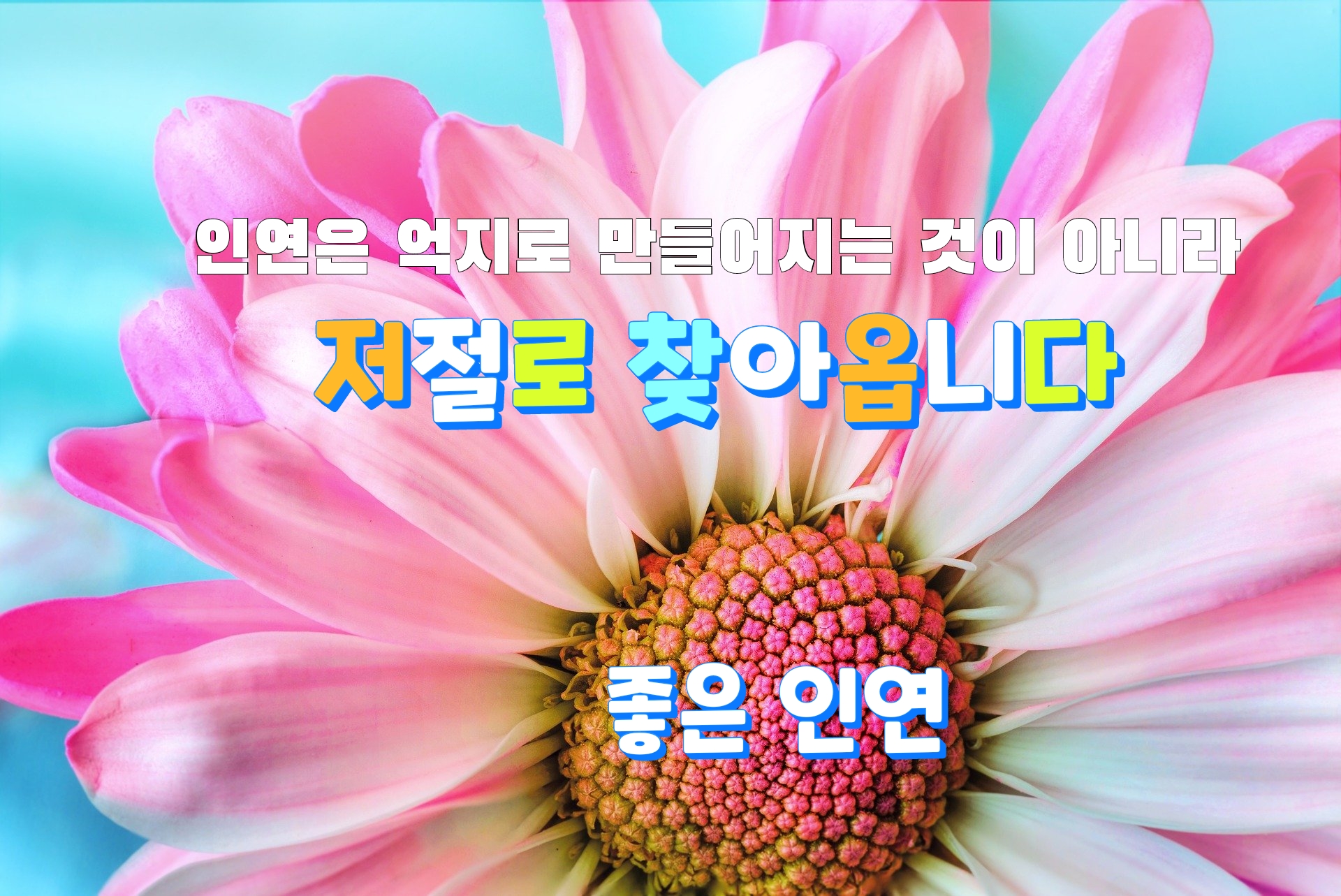  좋은 인연