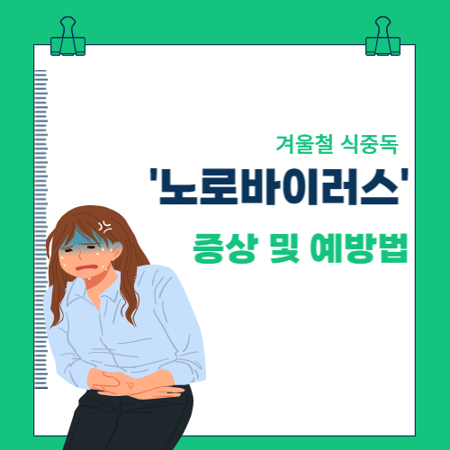  겨울철 식중독, 노로바이러스 증상 및 예방법