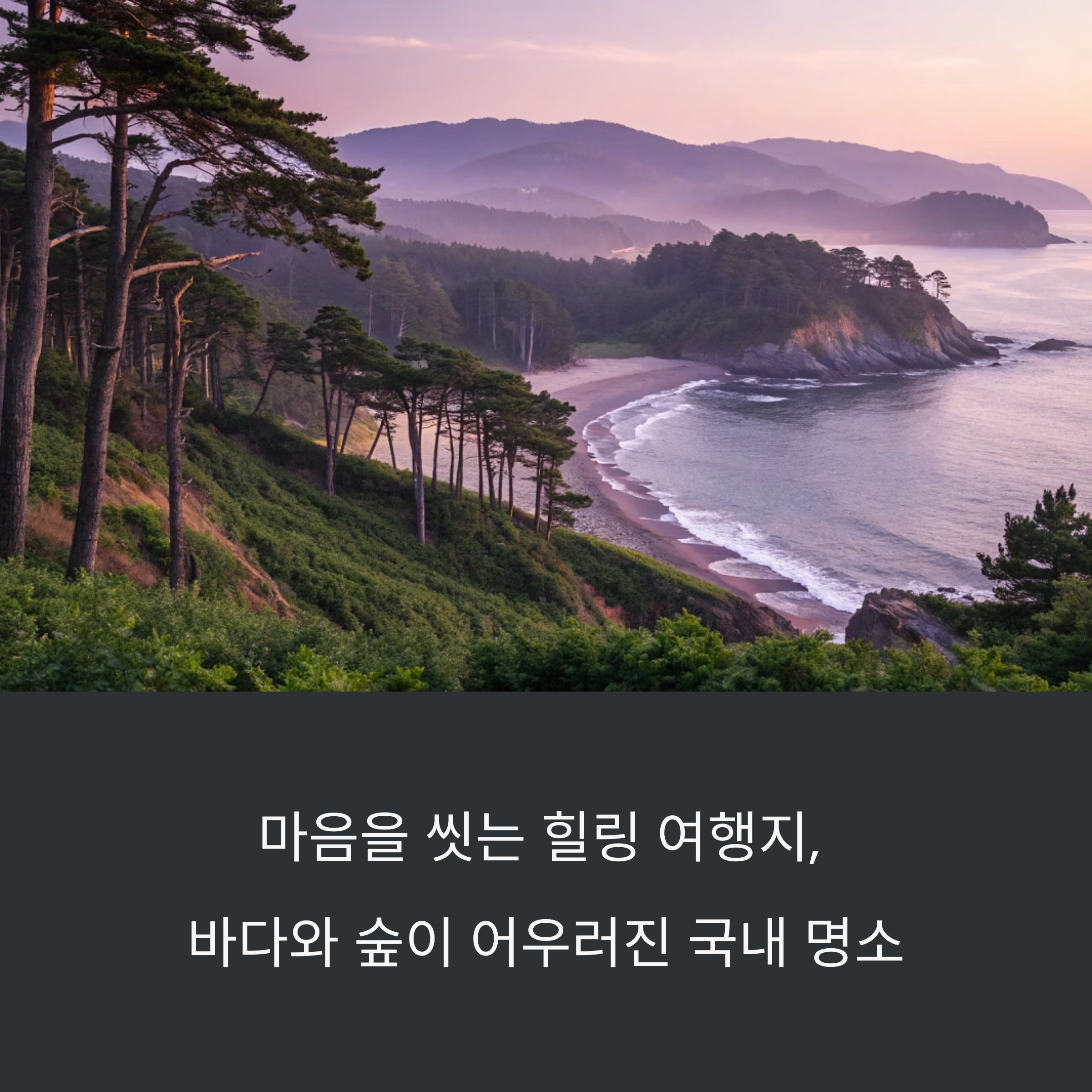 바다와 숲이 어우러진 국내 명소