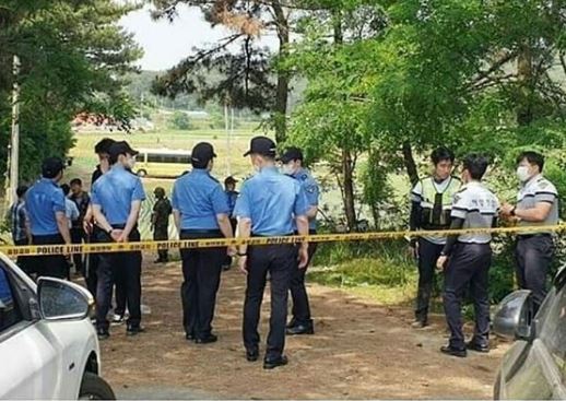  레전드 신고 나비효과