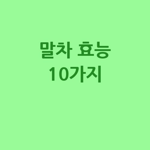 말차 효능 10가지