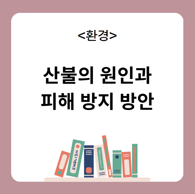 산불의 원인과 피해 방지