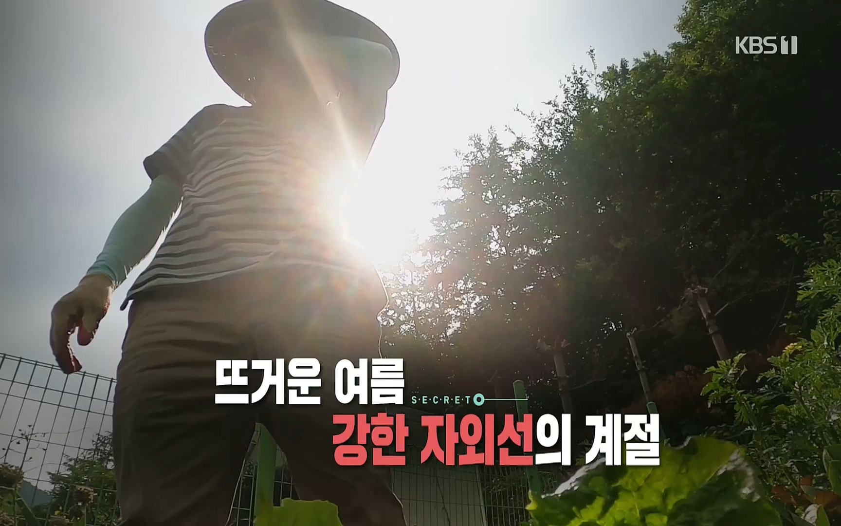 생로병사의 비밀.E824.220629p.H264-F1RST.mp4_20220630_205902.698.jpg