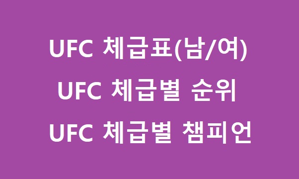 UFC 체급표