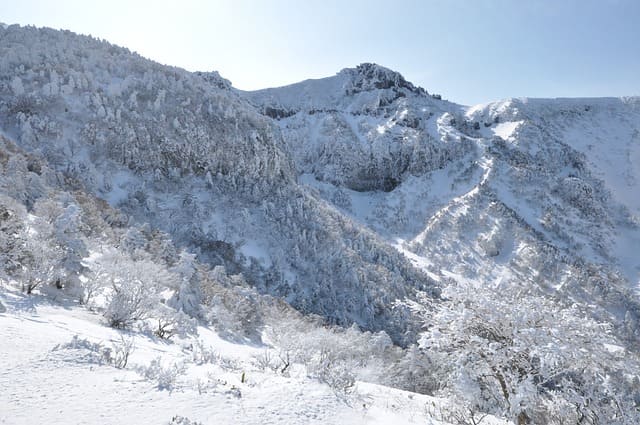 겨울한라산탐방예약