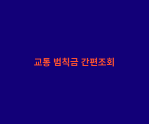 교통 범칙금 간편조회