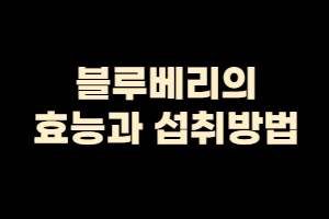  블루베리의 효능과 섭취방법