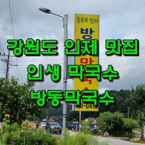  강원도 인제 맛집 추천 방동막국수,  "인생 막국수 찾았습니다!"