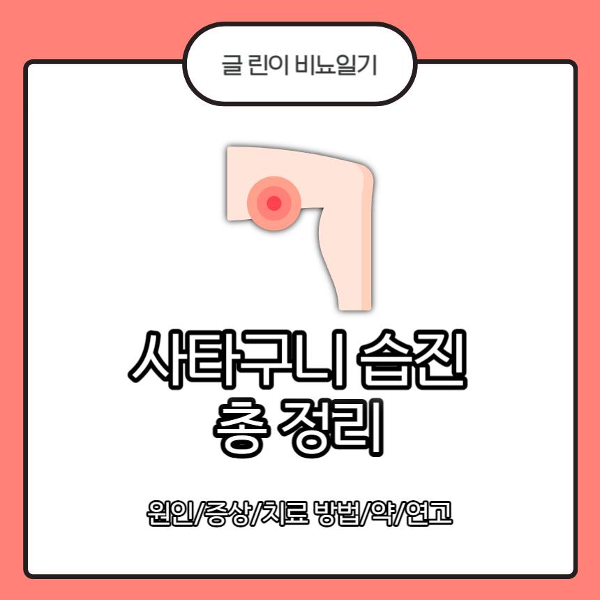  사타구니 습진 총 정리 : 원인/증상/치료 방법/약/연고