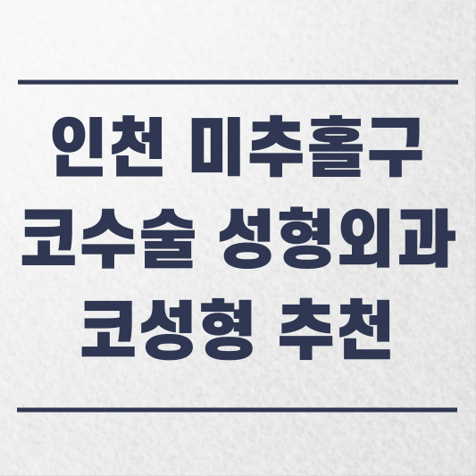 인천 미추홀구 코수술 성형외과 추천 코성형 잘하는 곳 가격 비용 금액 후기.png