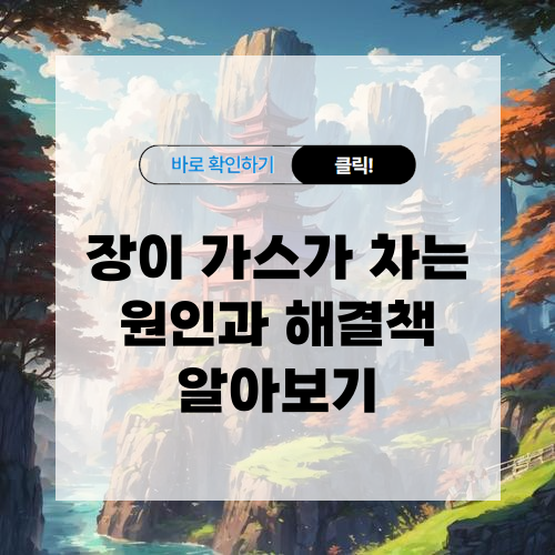 장에 가스가 차는 원인 및 해결방법 알아보기