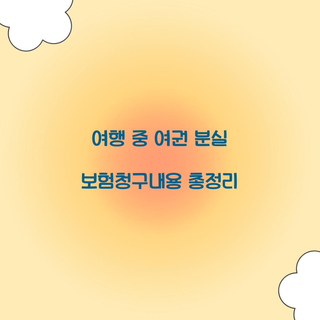 여권 분실 보험청구내용