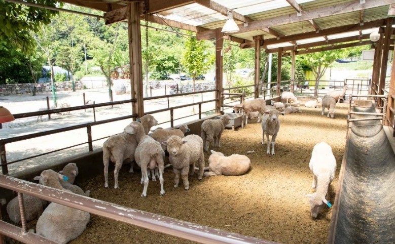 양평 가볼만한곳 베스트10 알아보자