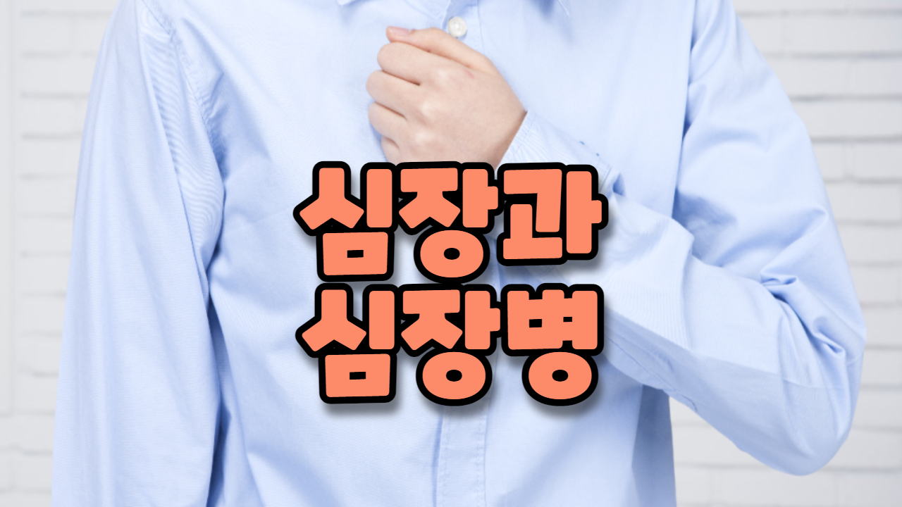  심장과 심장병