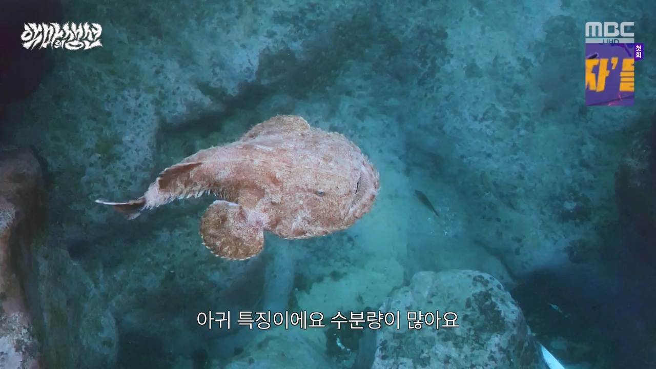 MBC 네트워크특선.E1670.240403p-NEXT.mp4_20240403_205602.388.jpg