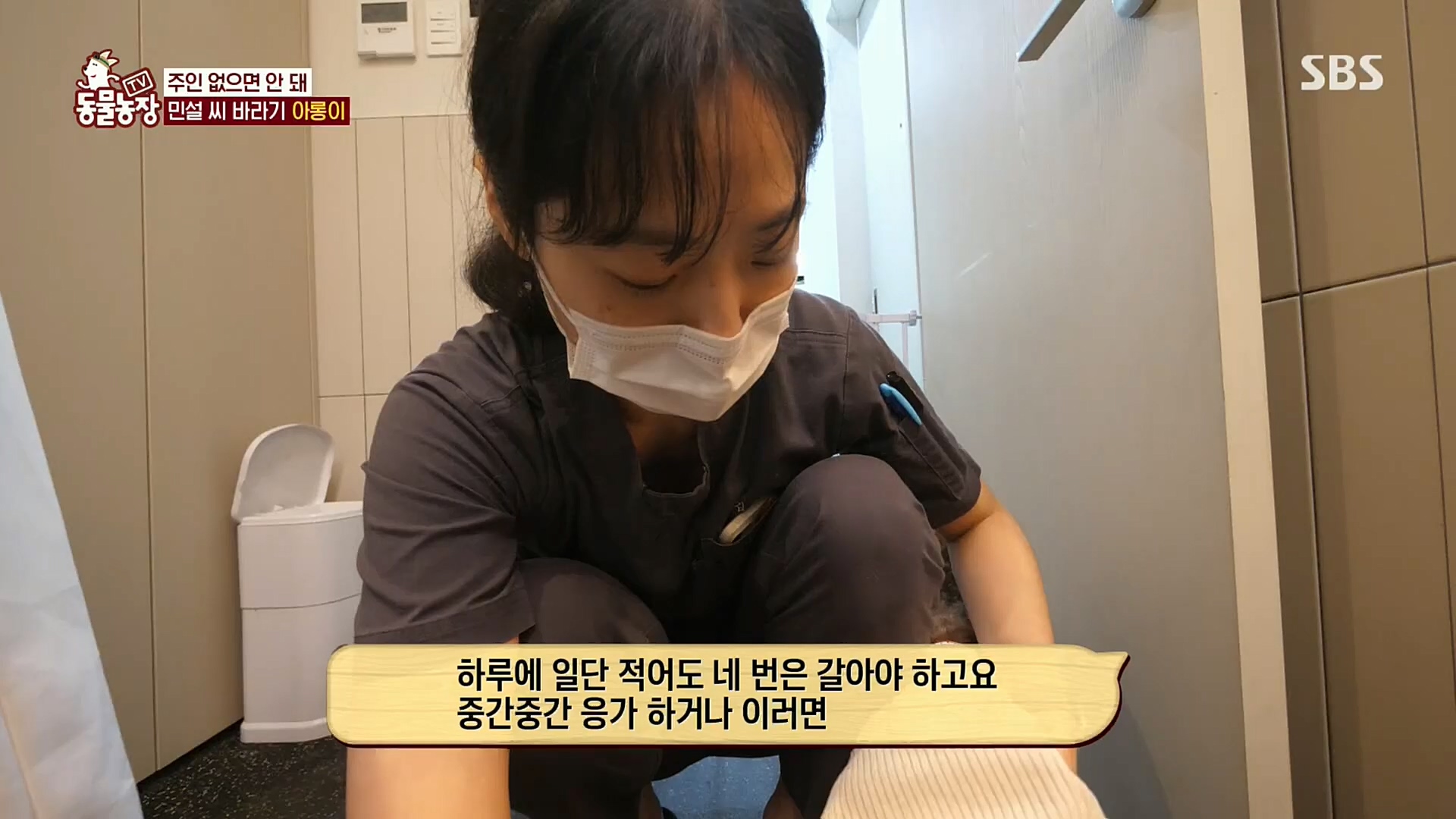 TV 동물농장.E1092.221023p.H264-F1RST.mp4_20221023_182747.369.jpg