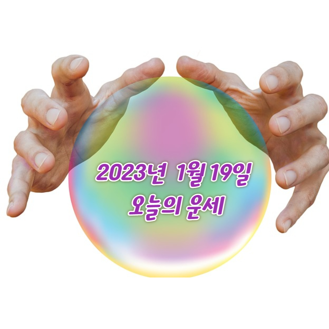 띠별 오늘의 운세
