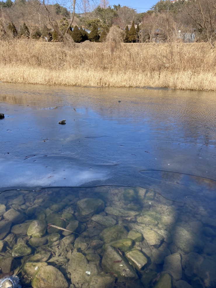 남양주 오토캠핑장 서울 근교 캠핑장 남양주 35