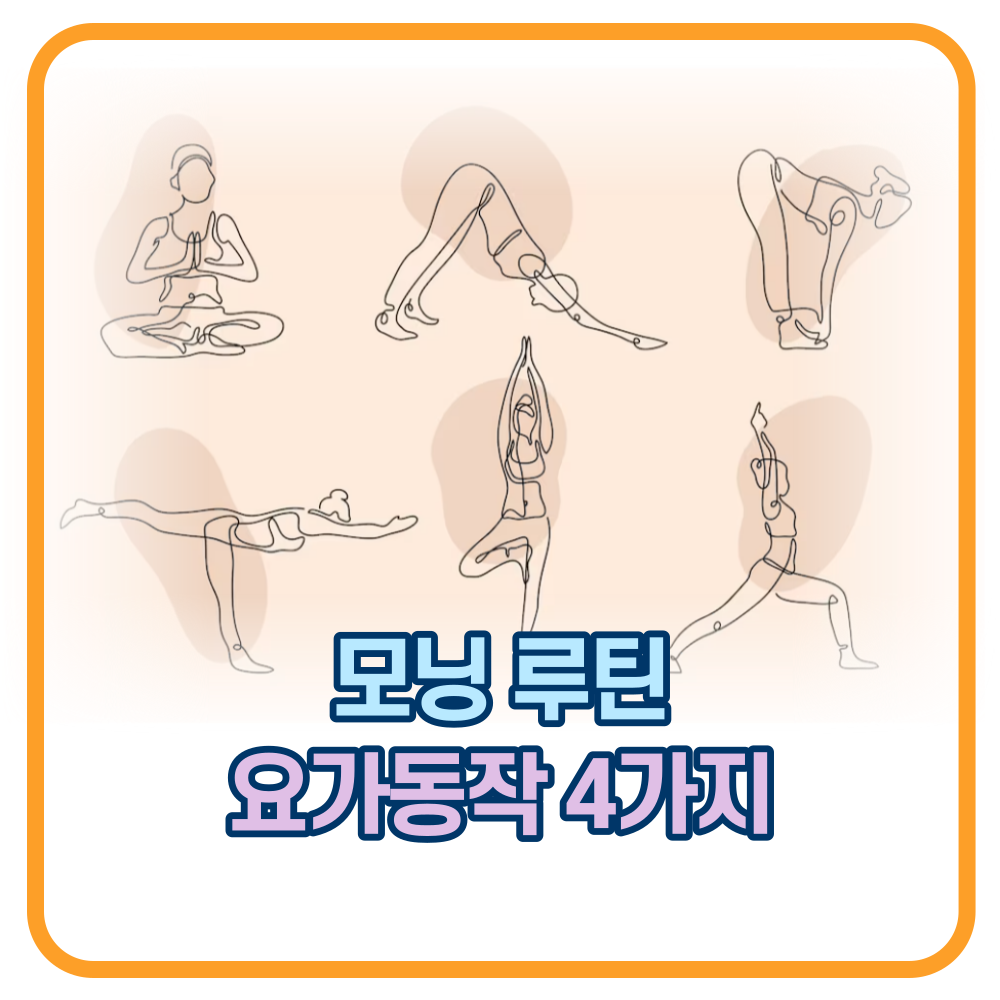 기초 요가동작 4가지로 아침 루틴을 만드세요!!