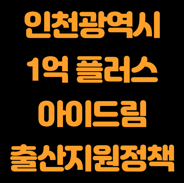 인천 1억 플러스 아이드림 지원 대상 및 신청 방법 (인천 천사지원금 아이꿈수당 임산부교통비)