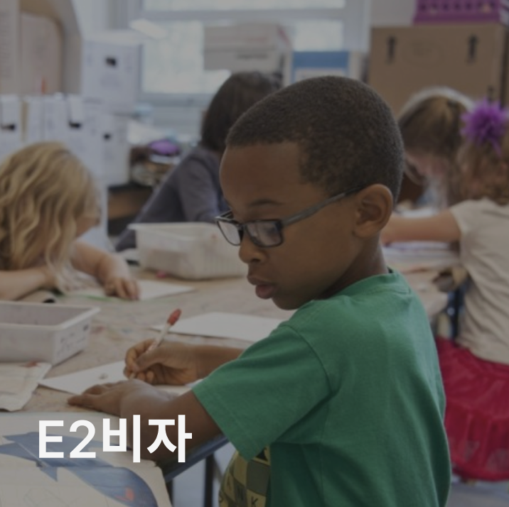 E2 비자