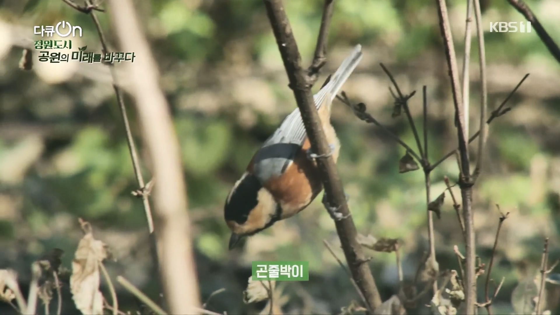 다큐 On.E230.231209p.H264-F1RST.mp4_20231211_194019.815.jpg