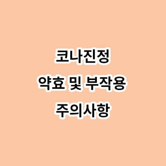 코나진정-약효-부작용-주의사항