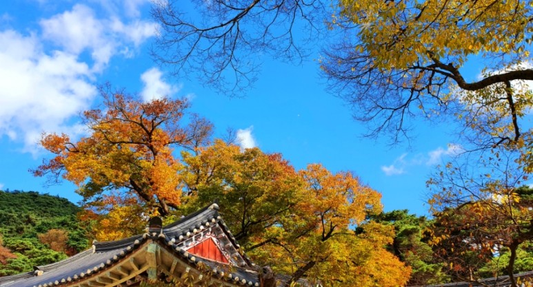 - 수덕사, 명상치유림길과 수암산의 가을 예산으로 볼거리, 단풍여행 24