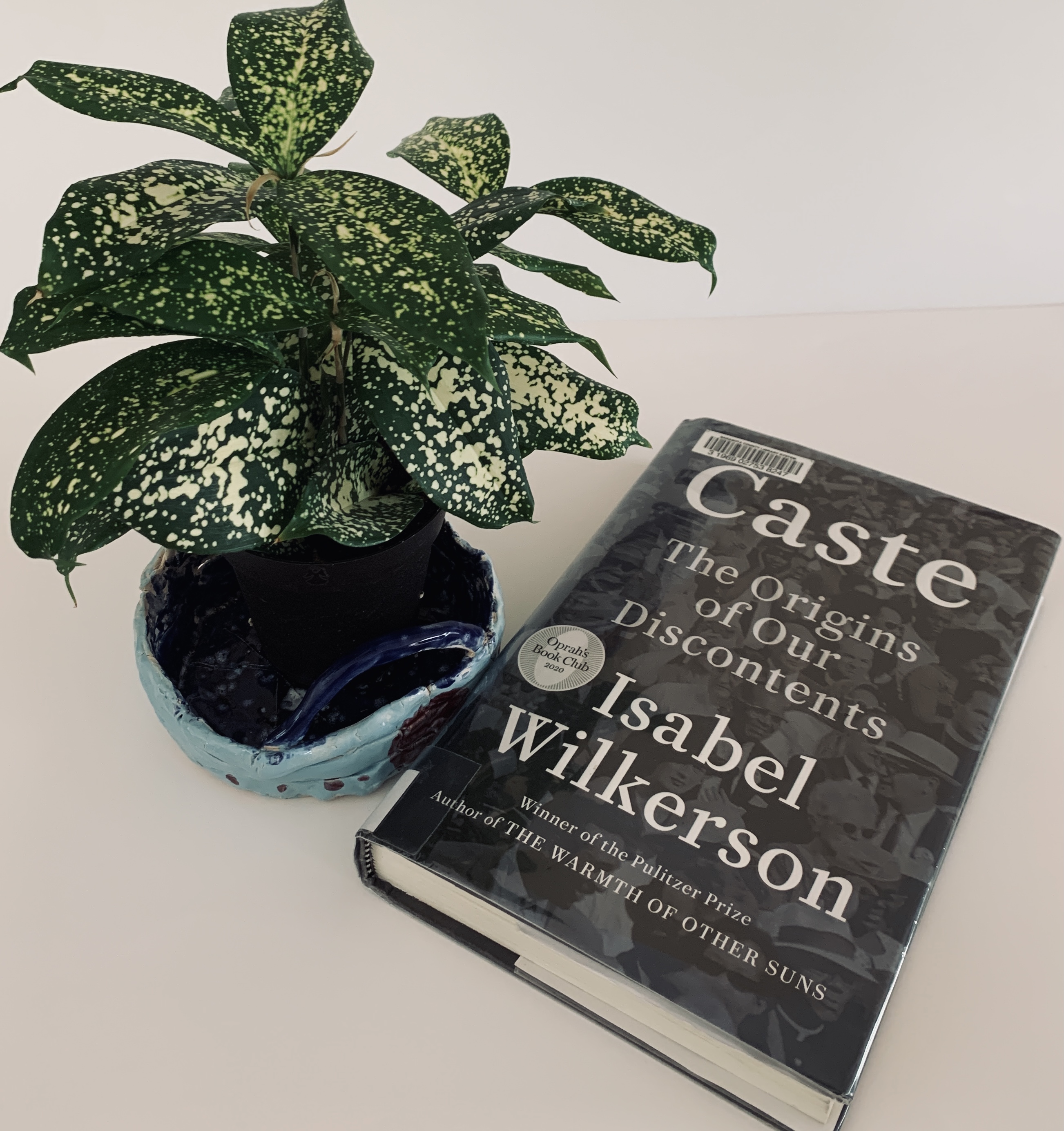  Caste by Isabel Wilkerson Review