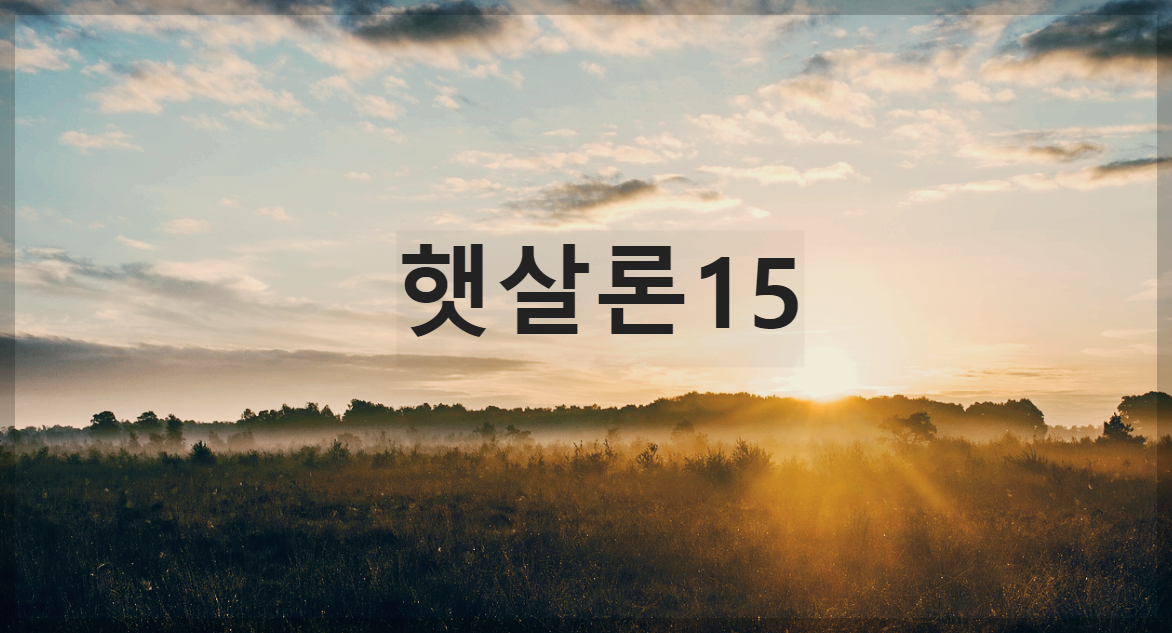 햇살론15