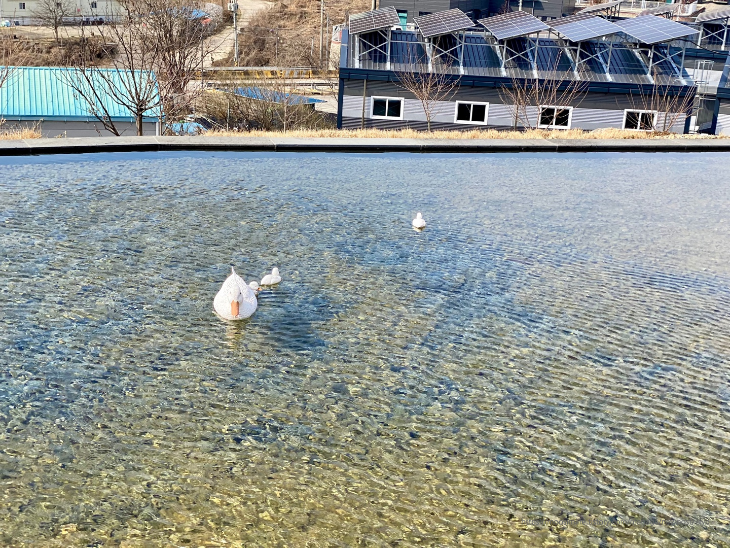 충북-옥천-포레포라-카페