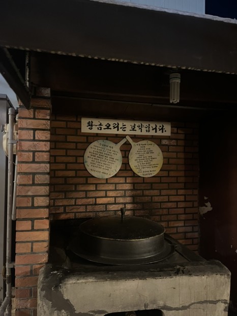 황금오리 이미지