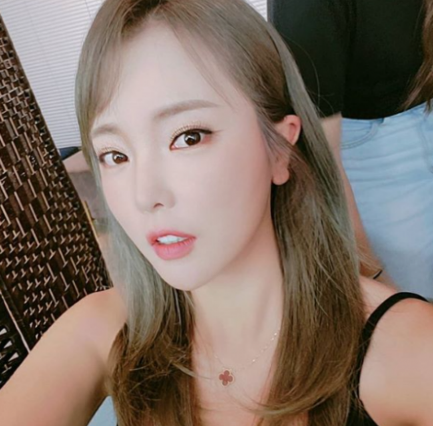  홍진영 논문 표절 석사·박사 학위 반납