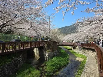 진해 군항제 벚꽃 축제 가족 놀거리 총정리_15