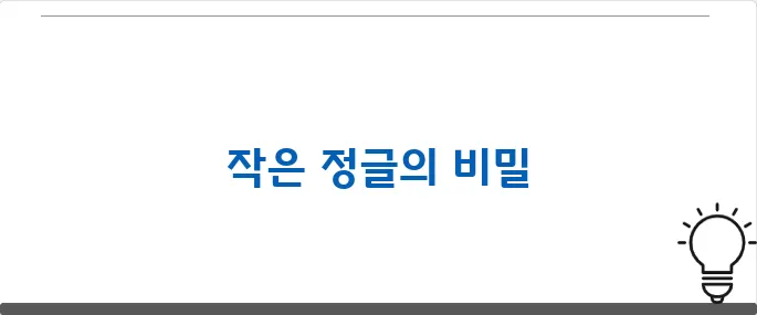 나만의 작은 정글, 개구리 서식지 꾸미기