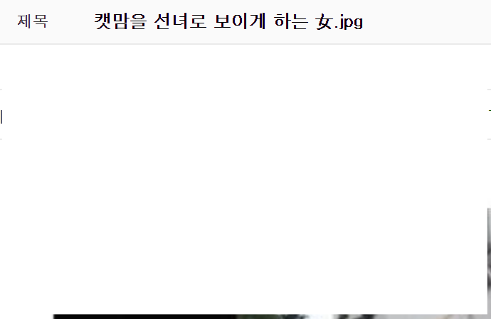  이거 보면 캣맘 욕 못합니다.