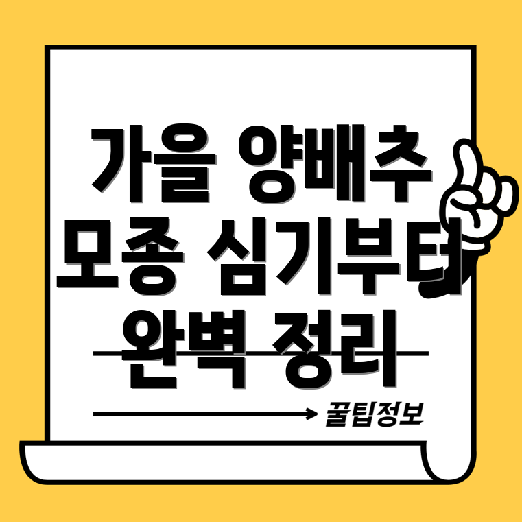 가을 양배추 재배