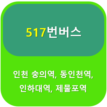 517번버스 썸네일