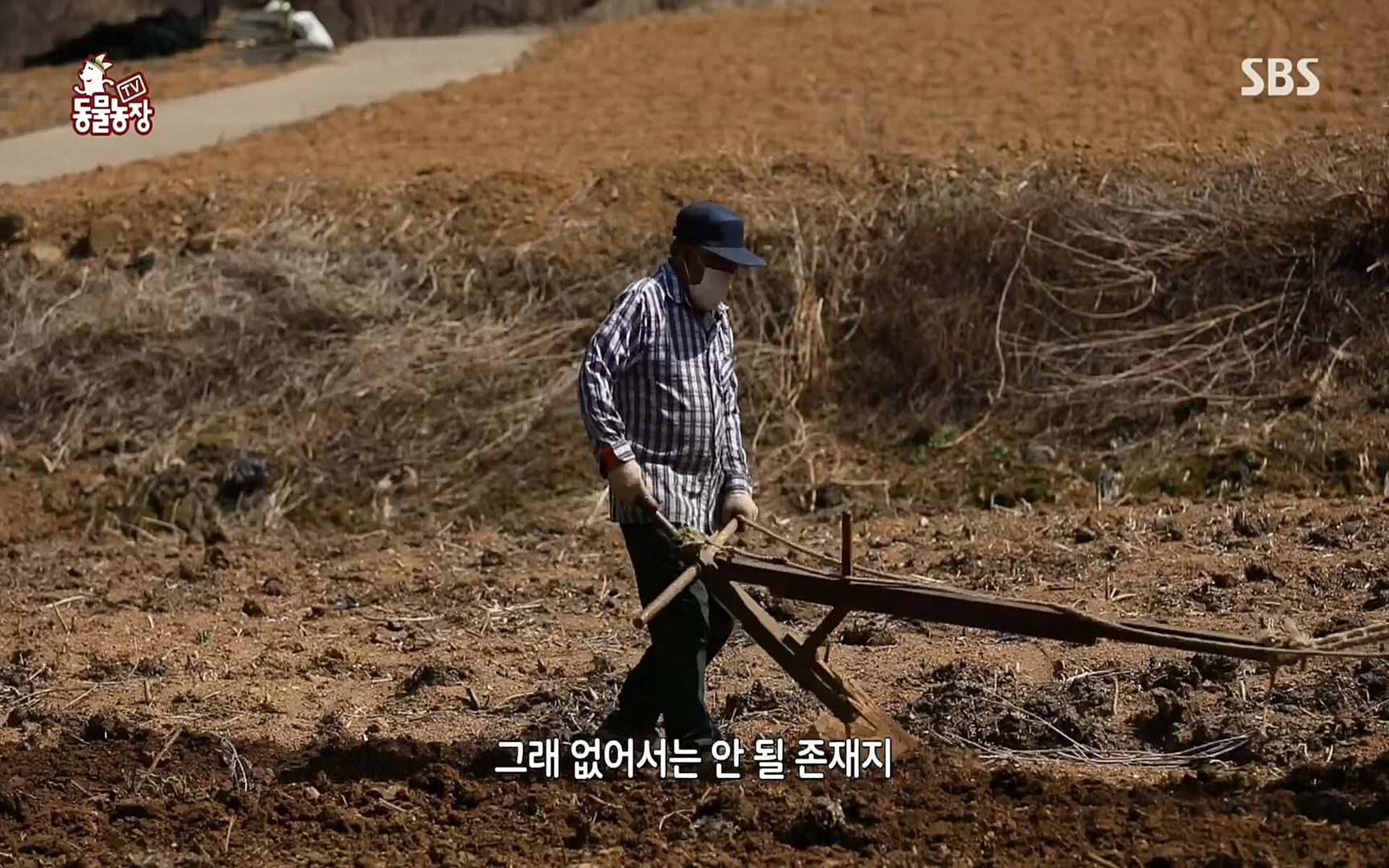 TV 동물농장.E1067.220501p.H264-F1RST.mp4_20220501_183349.176.jpg