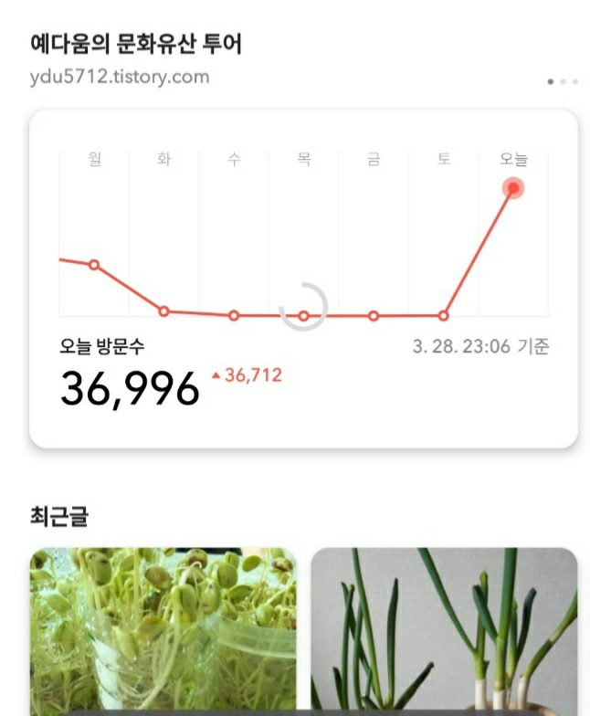  티스토리 블로그 방문자 150명 수준에서 3만 명 이상으로 껑충!!!