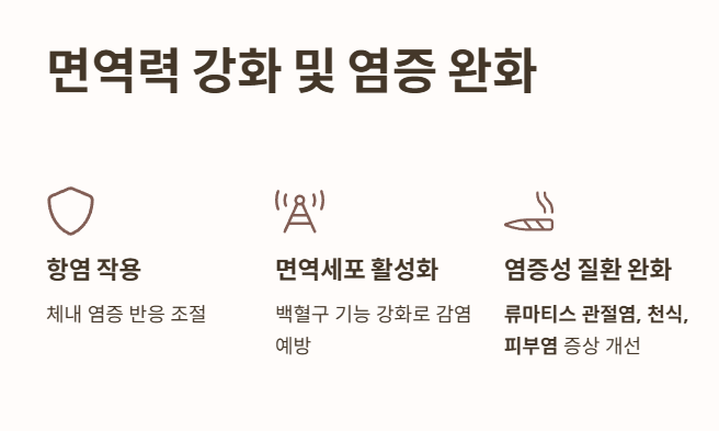 하이퍼셀 오메가3 효능 4: 면역력 강화 및 염증 완화 
