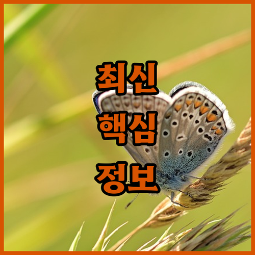 인터넷 가입 전 꼭 봐야 할 꿀팁! 