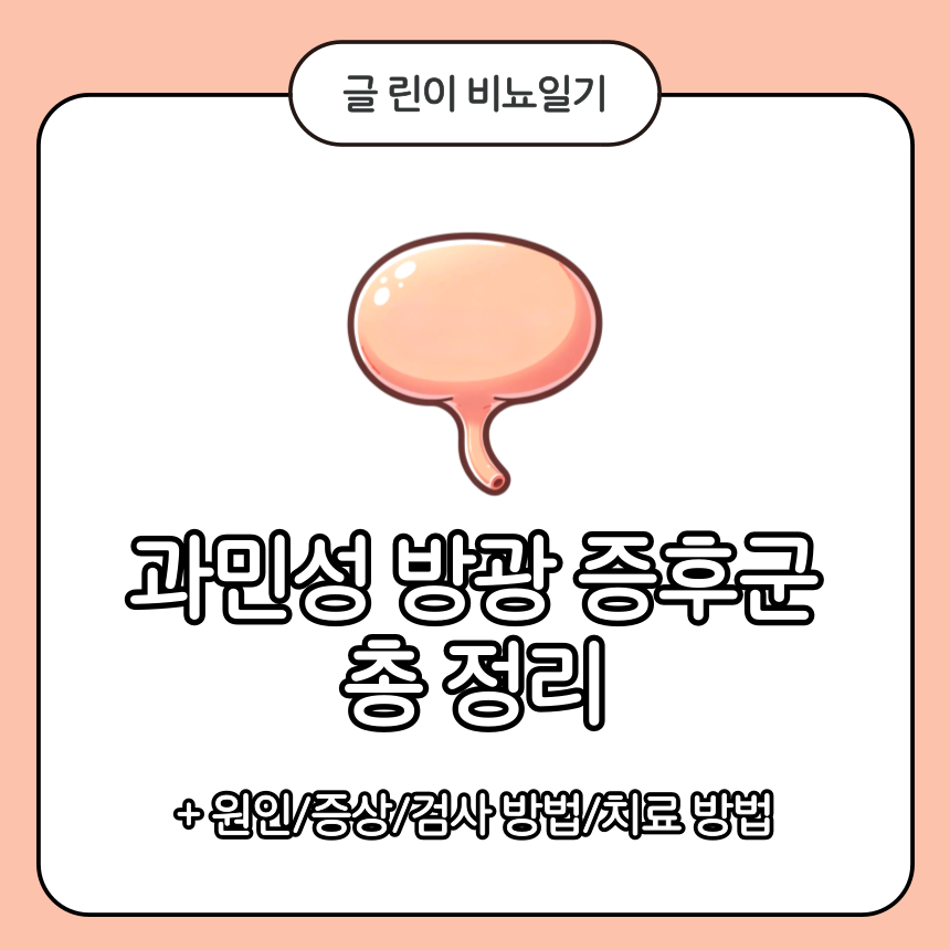  과민성 방광 증후군 총 정리
