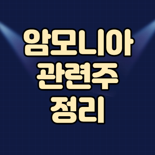  수소 암모니아 관련주 핵심정리