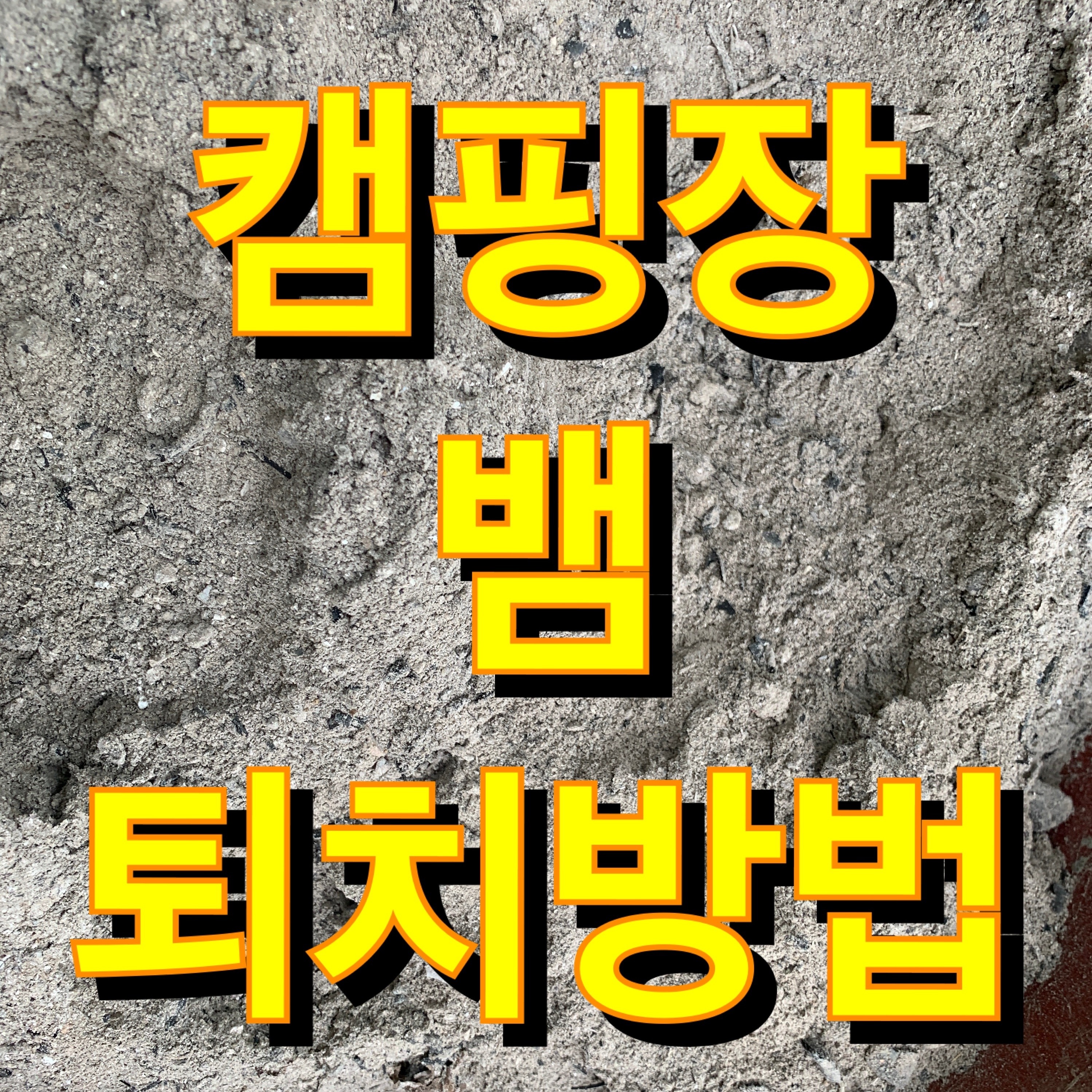  캠핑장 야영 시 뱀 퇴치 방법 (등산 야외 비박)