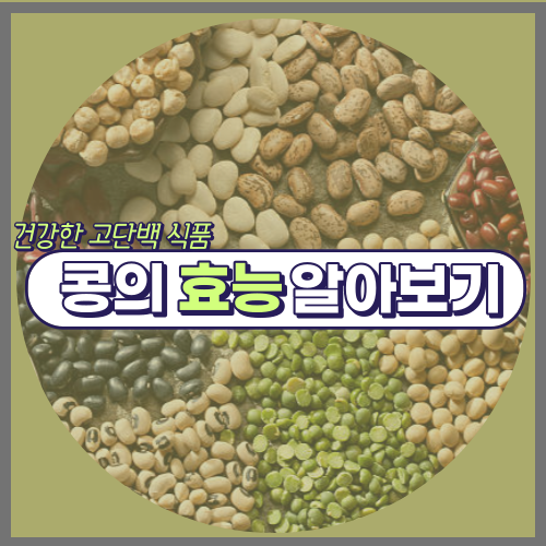 콩의 효능과 국산 콩 구별법 (건강한 고단백 식품) - 알화언니의 호기심천국