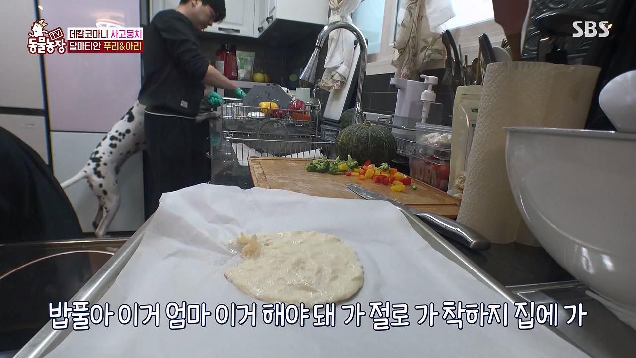 TV 동물농장.E1175.240610p-NEXT.mp4_20240609_160226.500.jpg