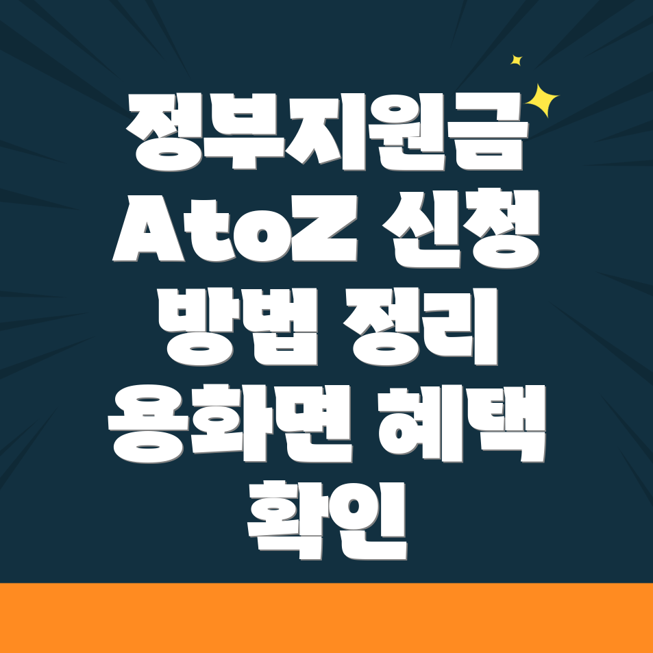 정부지원금